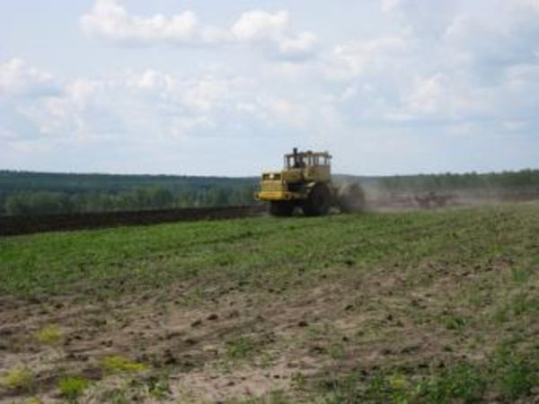 Засуха и рост цен навредят крымским аграриям