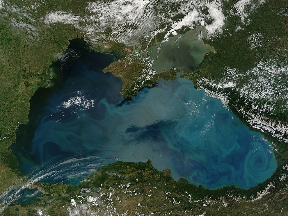 В России разрабатывают сервис, определяющий безопасность купания в Черном море