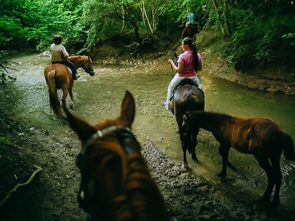 В Минкурортов состоялось совещание по развитию джипинга, конного и экологического видов туризма в Крыму